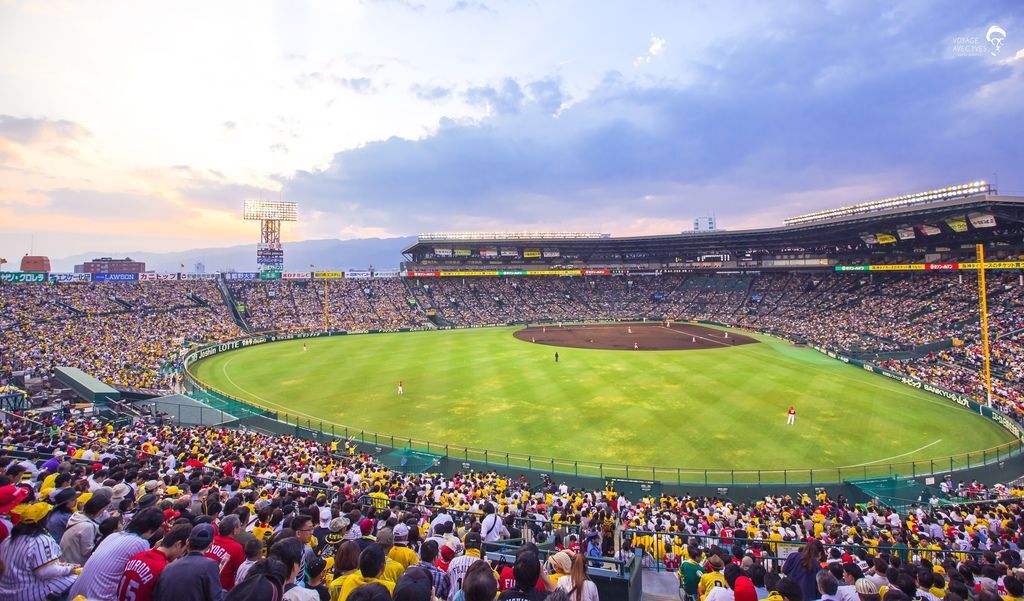 甲子園 原來外野座席的角度如此美麗 P 2 日職 棒球 運動視界sports