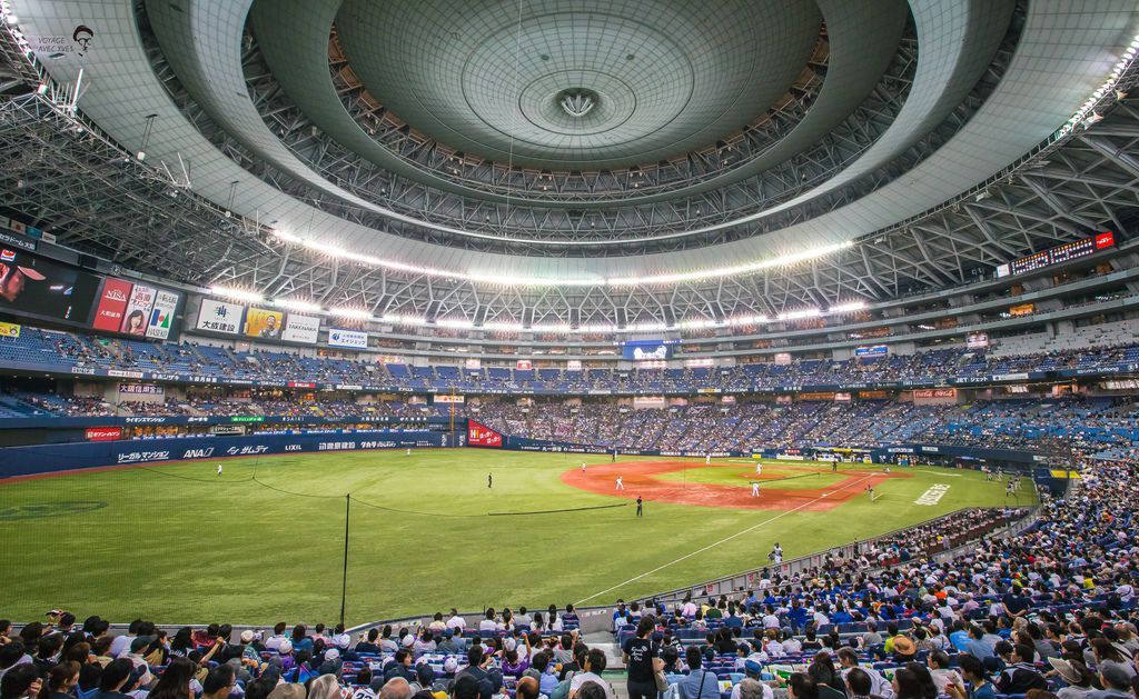 IMG_9109.jpg IMG_9109.jpg