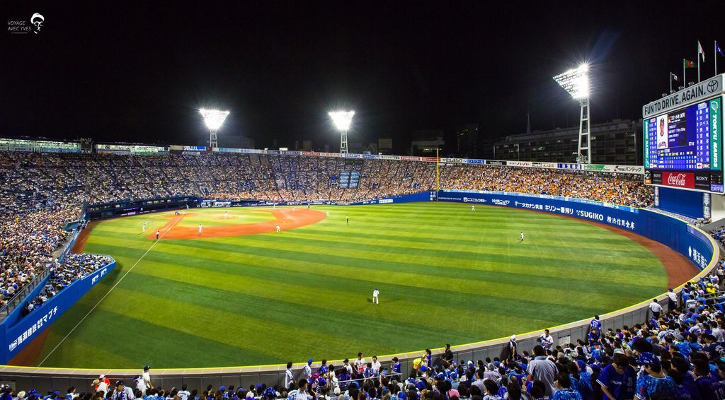 外野全景 (3).jpg