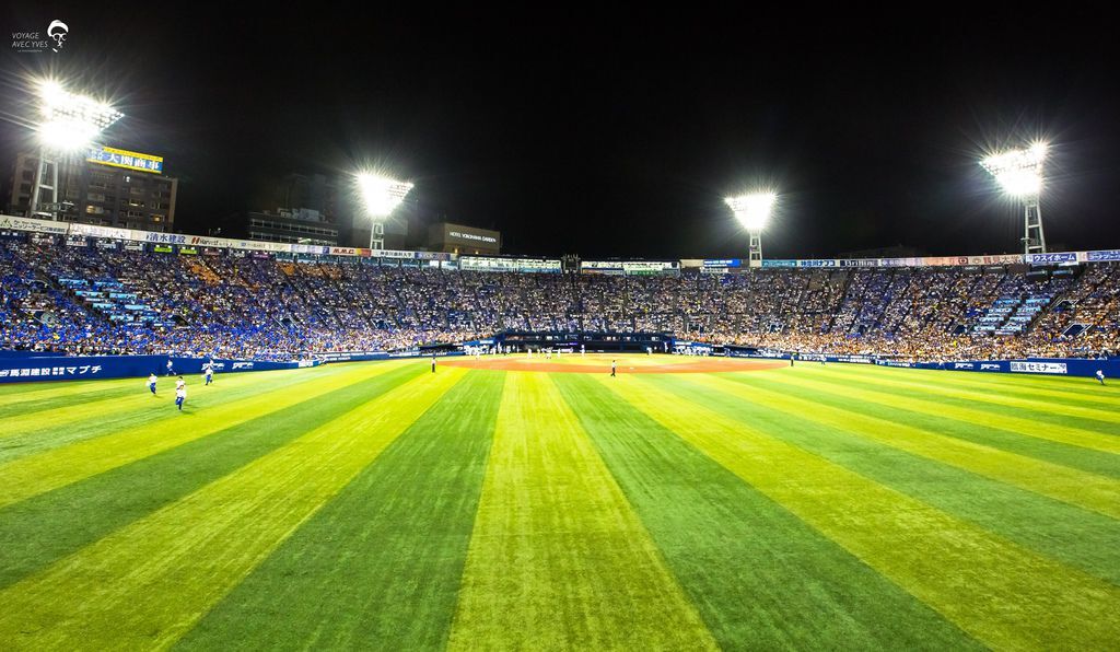 外野全景 (5).jpg 外野全景 (5).jpg