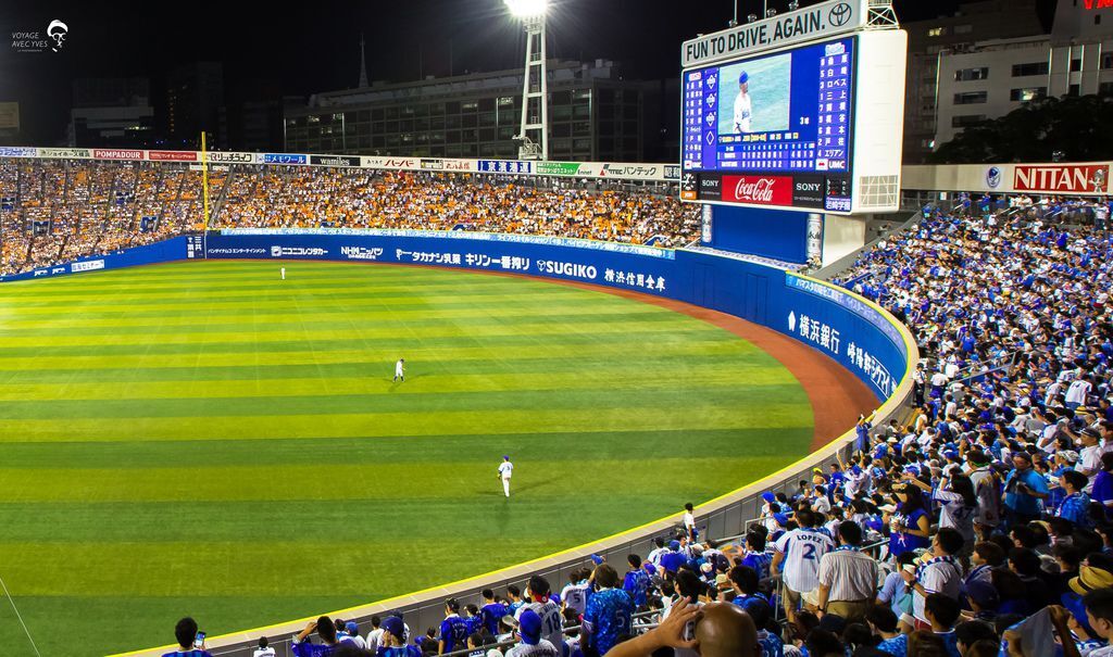 外野全景 (6).jpg 外野全景 (6).jpg