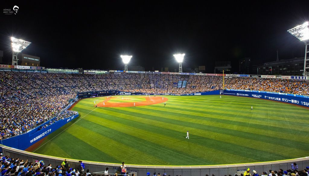 外野全景 (7).jpg 外野全景 (7).jpg