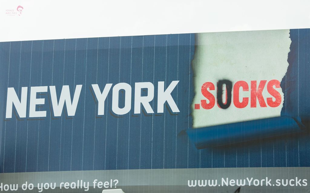 FO (10).jpg FO (10).jpg