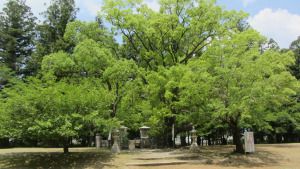 世界遺產大齋原內神社