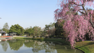 平等院一景