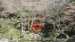 小石川後樂園內一景