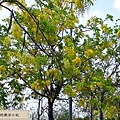 冬山休息站 - 5.jpg