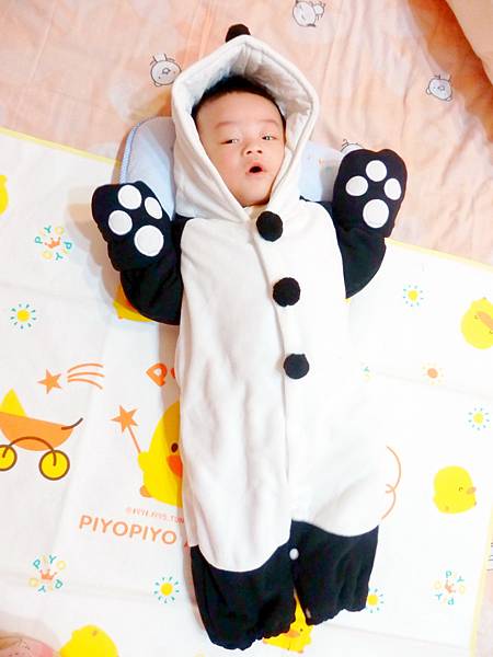 20120218pada (21)