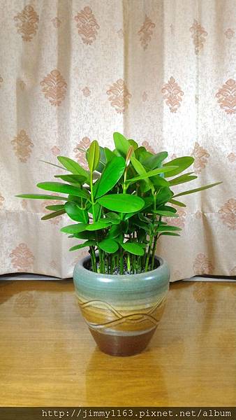 P_20160118_211128.jpg P_20160118_211128.jpg