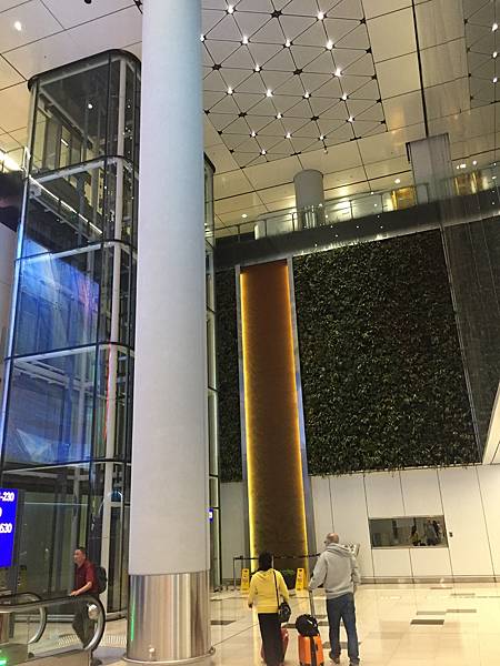 IMG_7781.JPG IMG_7781.JPG