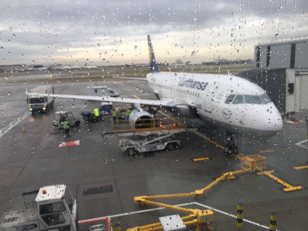 IMG_7902.JPG IMG_7902.JPG