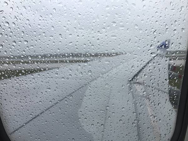 IMG_4185.JPG IMG_4185.JPG