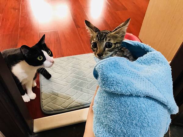 20180711_180711_0015.jpg 20180711_180711_0015.jpg