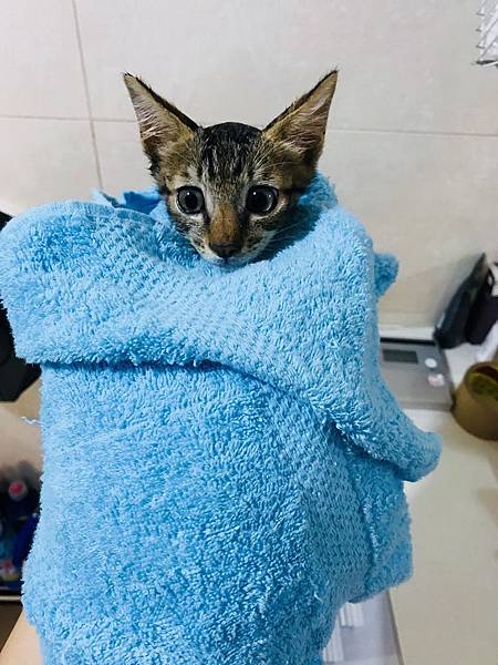 20180711_180711_0016.jpg 20180711_180711_0016.jpg