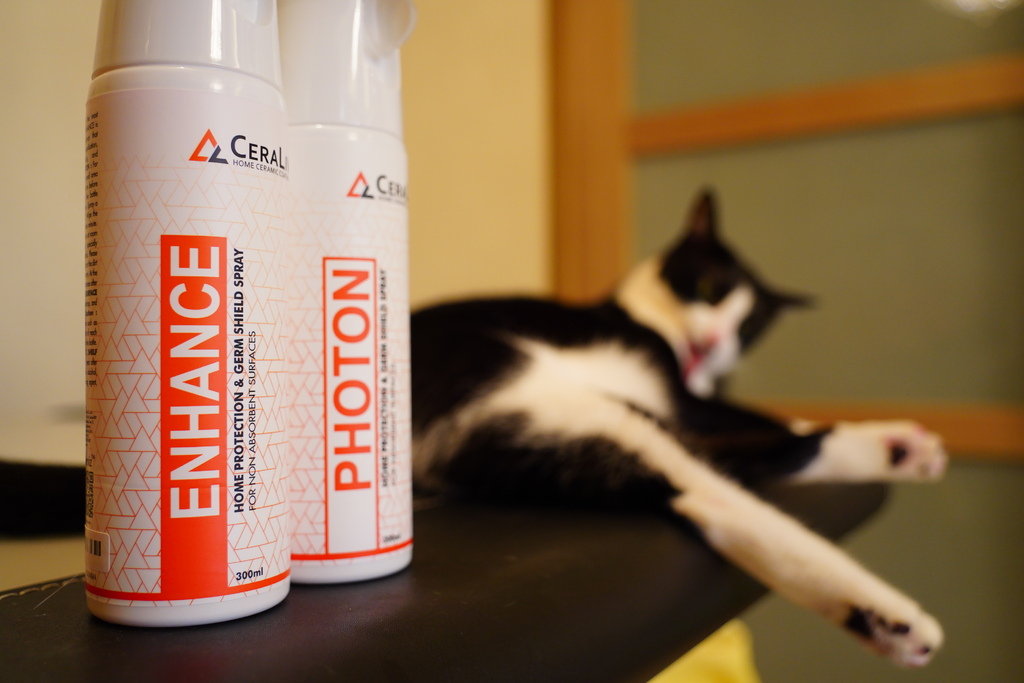 DSC06799.JPG DSC06799.JPG