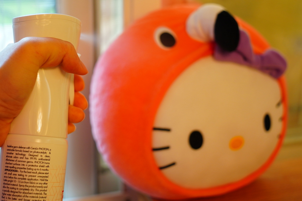 DSC06911.JPG DSC06911.JPG