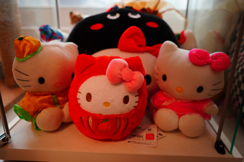 DSC06899.JPG DSC06899.JPG