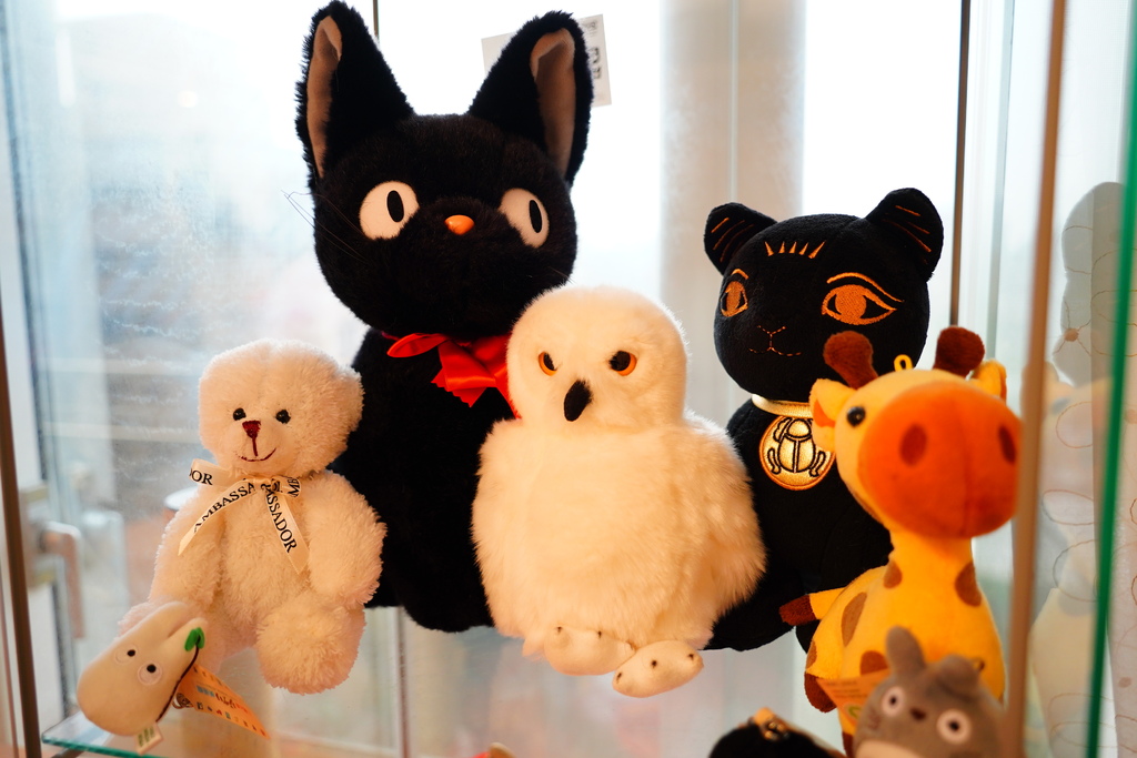 DSC06901.JPG DSC06901.JPG