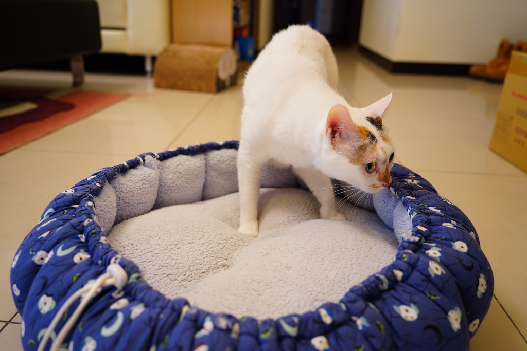 DSC06978.JPG DSC06978.JPG