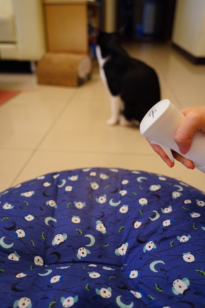 DSC07000.JPG DSC07000.JPG