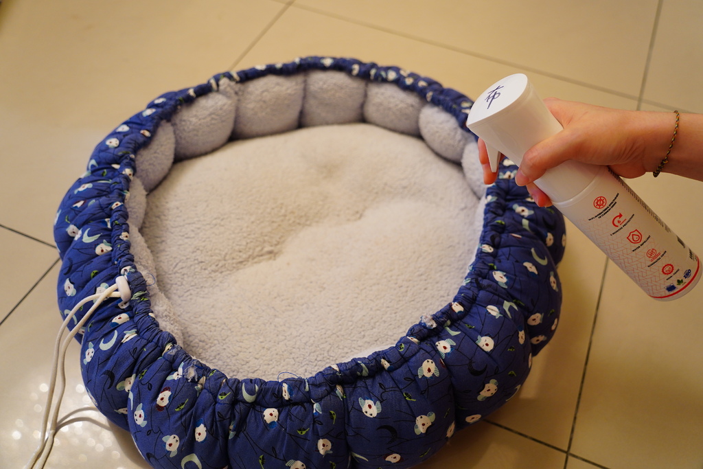 DSC06981.JPG DSC06981.JPG