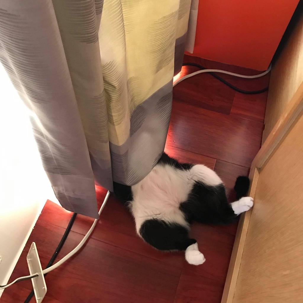 S__27058183.jpg S__27058183.jpg