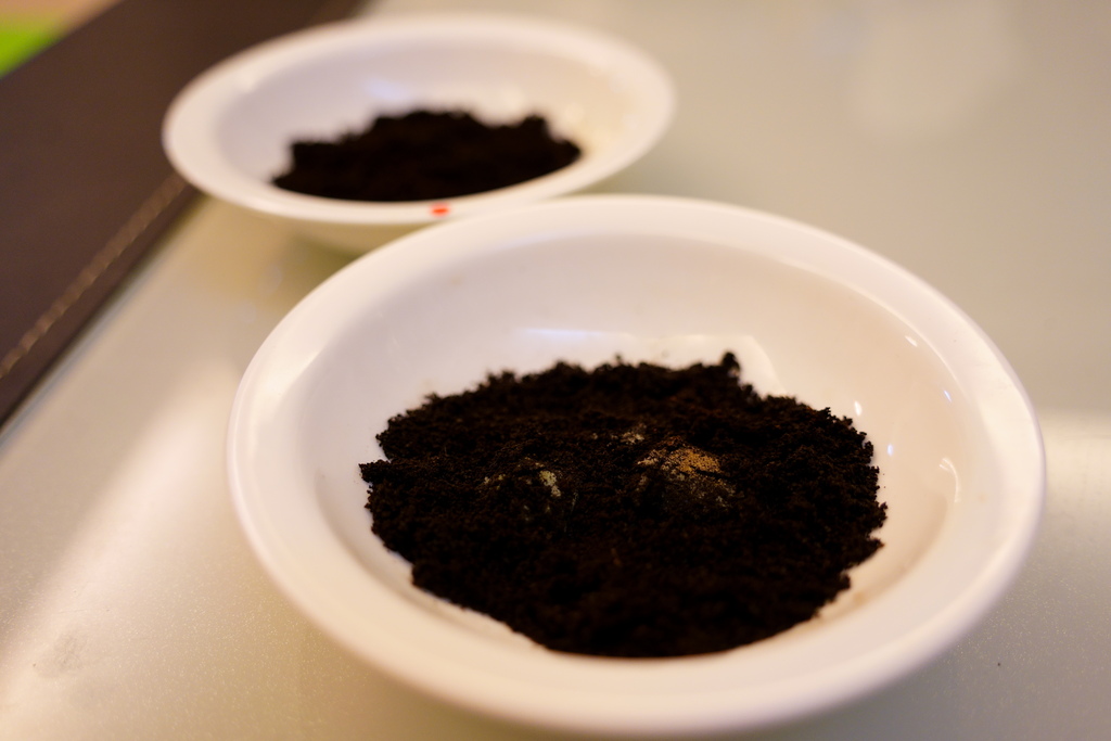 DSC09892.JPG DSC09892.JPG