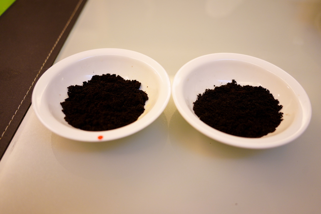 DSC09895.JPG DSC09895.JPG