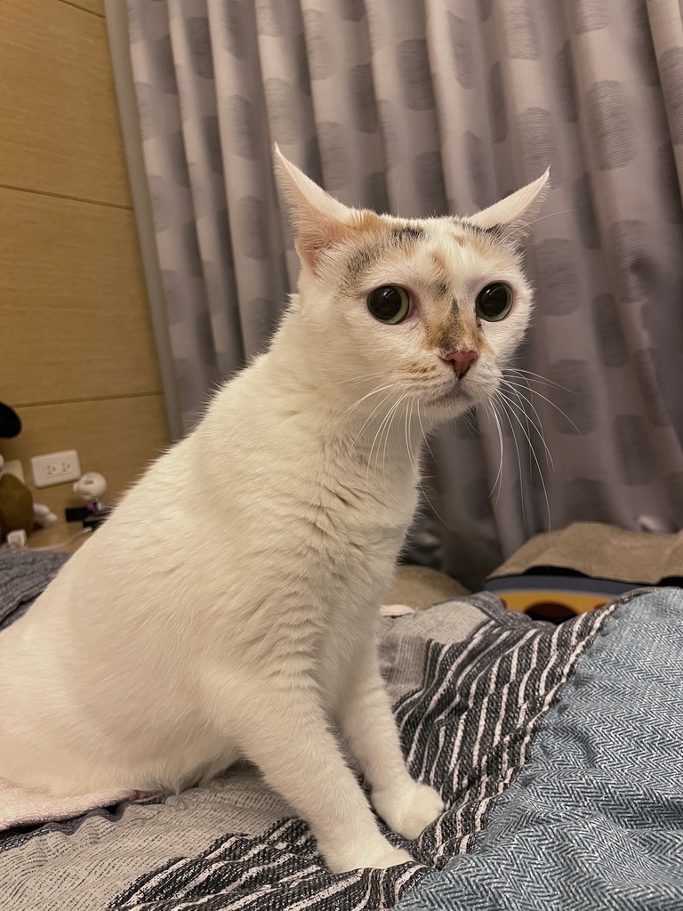 IMG_1099.JPG IMG_1099.JPG