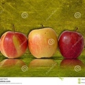 苹果背景绿色-12604191