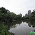 大安森林公園.jpg