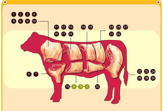 牛肉部位介紹 下肩舺翼板肉 Chuck Flap Rib 盛發賀商行 電眼修的圈圈 痞客邦