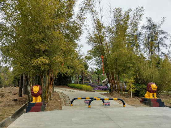 【金門人氣景點】太武山『毋忘在莒』登山步道｜植物園登山口