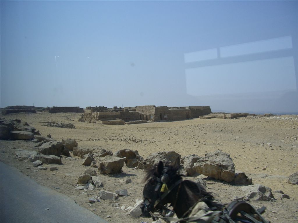 CIMG0367.JPG CIMG0367.JPG
