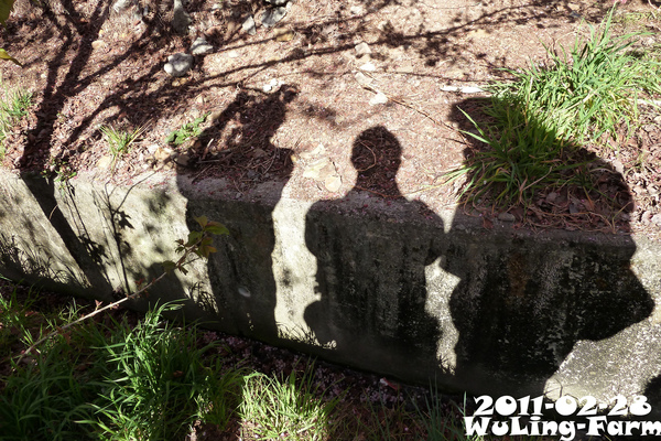 P04.jpg P04.jpg