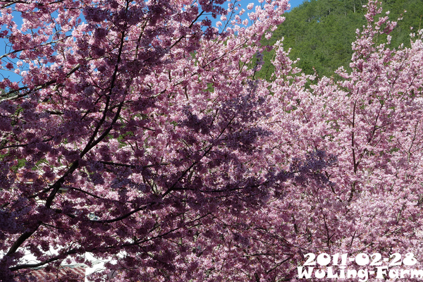 P21.jpg P21.jpg
