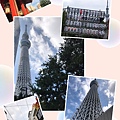 不同角度的天空塔Sky Tower