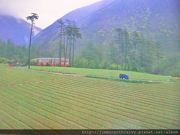 早期台閔地區風景明信片-和平武陵農場.JPG