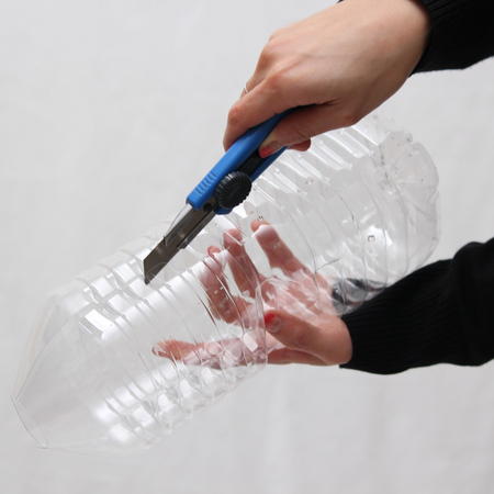 dish-p2-thumb-450x450.jpg