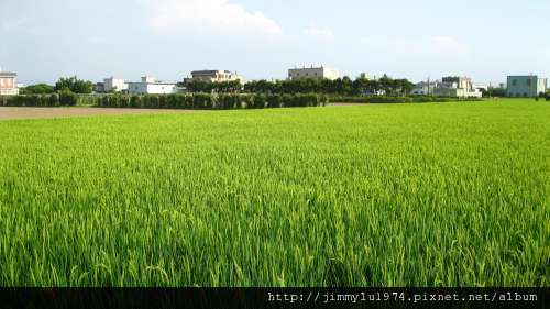 [竹北] 竹北西區(麻園、溝貝、白地)踏查 2011-06-20 028.jpg