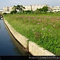 [竹北] 竹北西區(麻園、溝貝、白地)踏查 2011-06-20 032.jpg