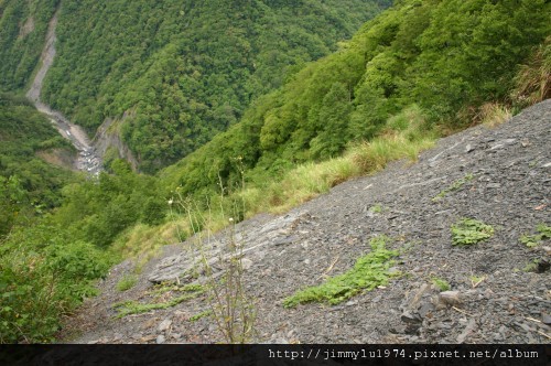 [尖石] 司馬庫斯巨木踏查 2009-05-27 036.jpg