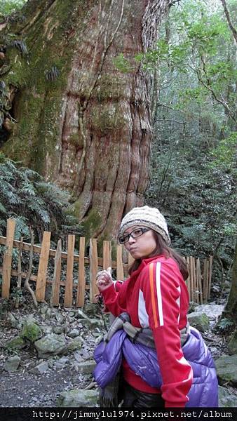 [尖石] 司馬庫斯巨木林健走 2011-12-04 073.jpg