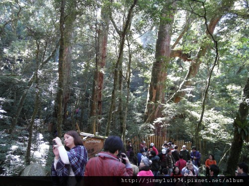 [尖石] 司馬庫斯巨木林健走 2011-12-04 076.jpg
