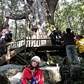 [尖石] 司馬庫斯巨木林健走 2011-12-04 082.jpg