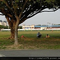 [竹南] 竹南頭份踏查(竹南火車站,運動公園,苗北演藝廳,頭份大潤發) 2012-03-28 025