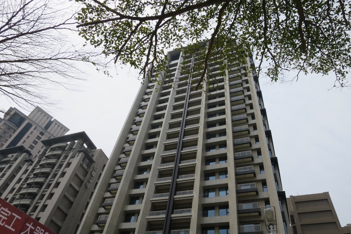 竹北成功 美麗華仁愛 大樓 介紹