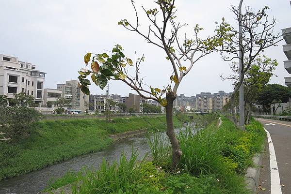 [田野踏查]南勢重劃區 20170424-15.JPG