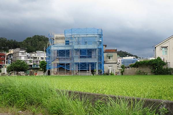 [田野踏查]芎林綠獅重劃區 20170626-13.JPG