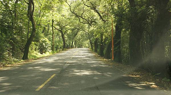 121集集綠色隧道.jpg 121集集綠色隧道.jpg